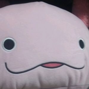 Meet your Posher, Knight in fluffy